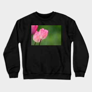 Pink tulips blossom close up, spring floral photo Crewneck Sweatshirt